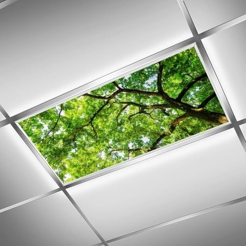 Cubiertas magnéticas luz techo pantalla difusora