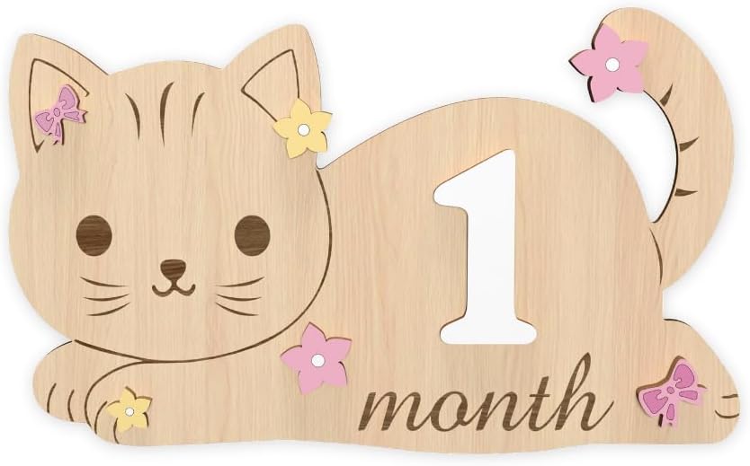 Letreros madera hitos bebé 1-12 meses con números