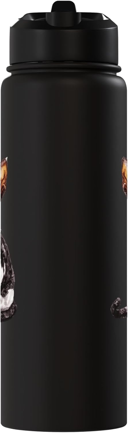 Botella agua acero inox aislada con imagen gato esfinge