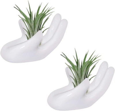 2 Pzas Soporte cerámica Tillandsia mini mano decoración hogar