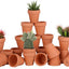 24 Pzas Macetas Terracota 2.5pulg con Agujero Drenaje