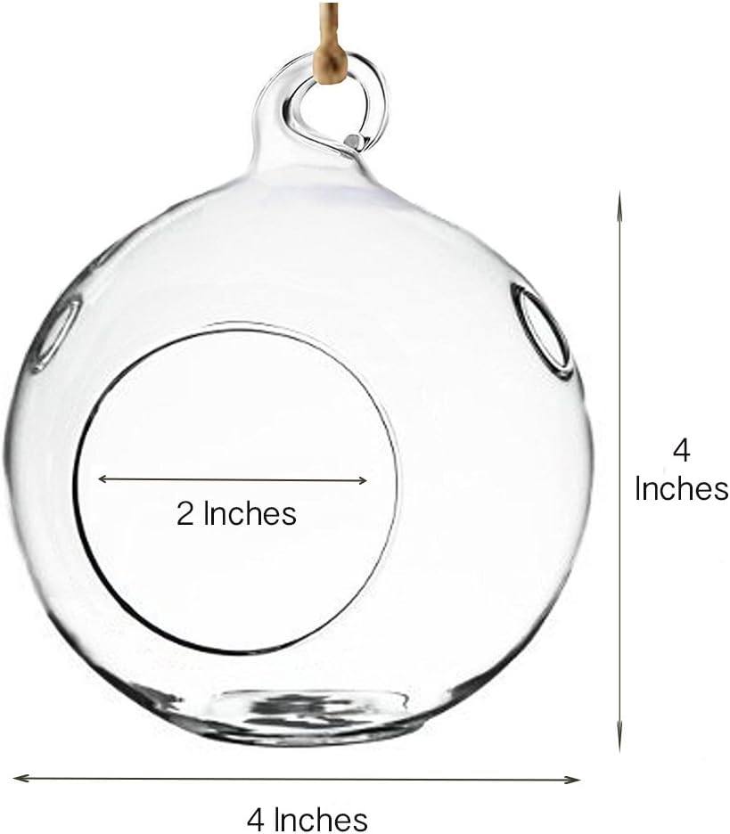 6 Globos Cristal Colgantes para Terrarios y Jardín