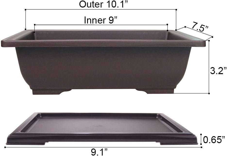 3 Macetas Rectangulares Bonsái 10pulg con Bandeja