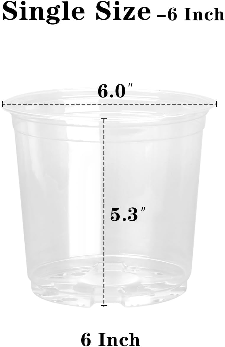 20 Macetas Plástico Transparente 6pulg con Agujeros Drenaje