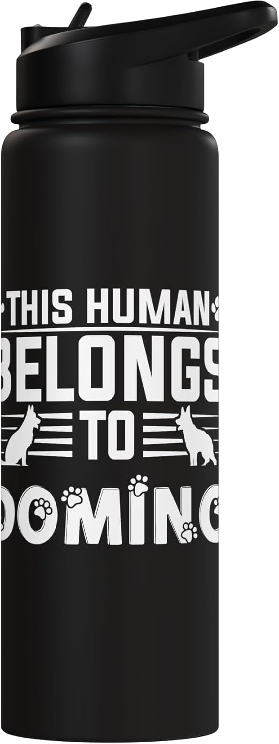 Botella de agua acero inoxidable aislada para perro Domino