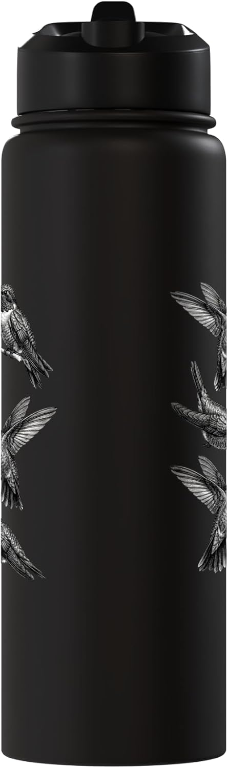 Bottella de agua acero inoxidable vintage humbird arte retro