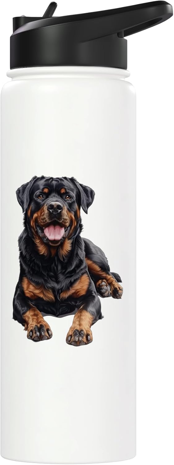 Botella de agua aislada acero inoxidable Rottweiler