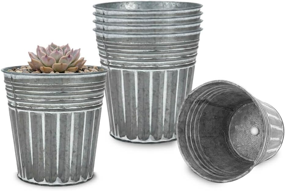 Maceta galvanizada 4pulg set 6 rústicas plateadas para hierbas