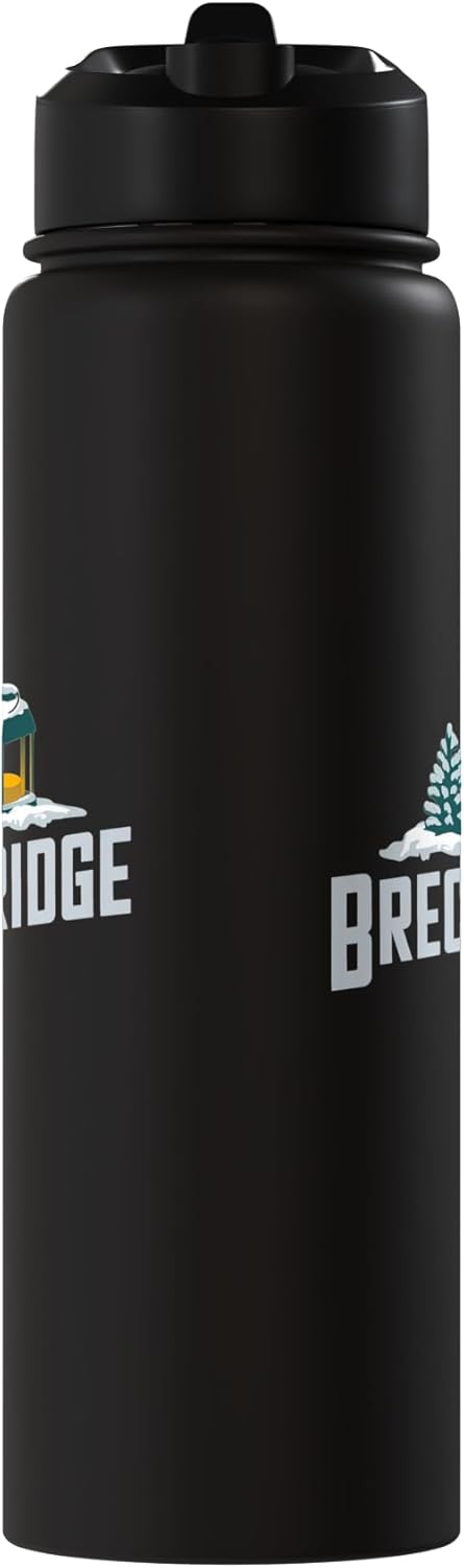 Botella de agua aislada de acero inoxidable Snowy Mountain