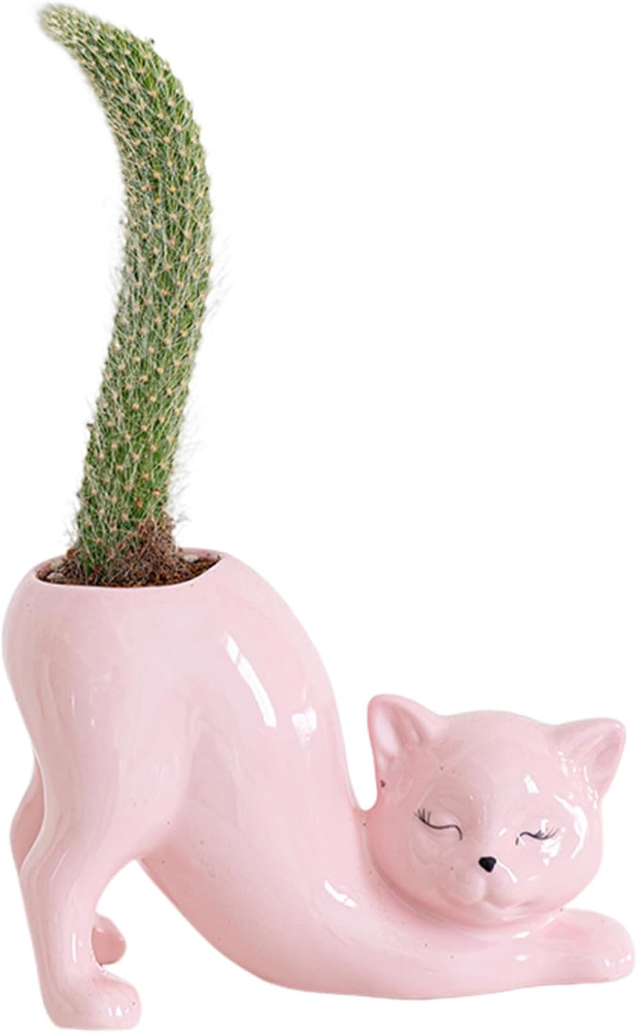 Maceta cerámica para gatos y suculentas escritorio rosa