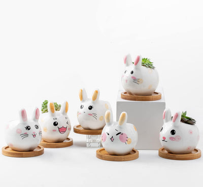 Macetas cerámica 3.6pulg suculentas con bandeja bambú regalo Pascua