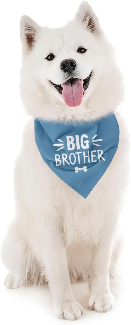 Bandana triangular para perro Big Brother azul