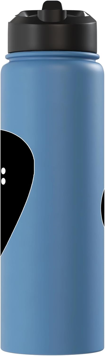 Botella de agua acero inoxidable aislada para entretenimiento