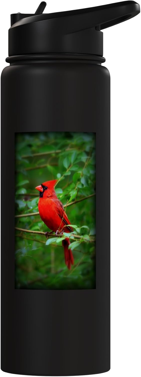 Botella de agua acero inoxidable cardinal rojo sin bpa