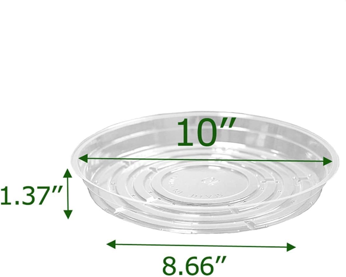 5 Pzas Platillos Transparentes 10pulg Bandeja Macetas