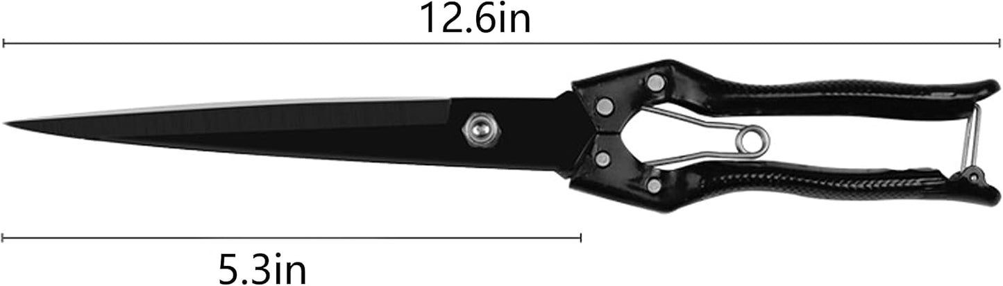Tijeras para ovejas acero manganeso doble filo 12.6pulg