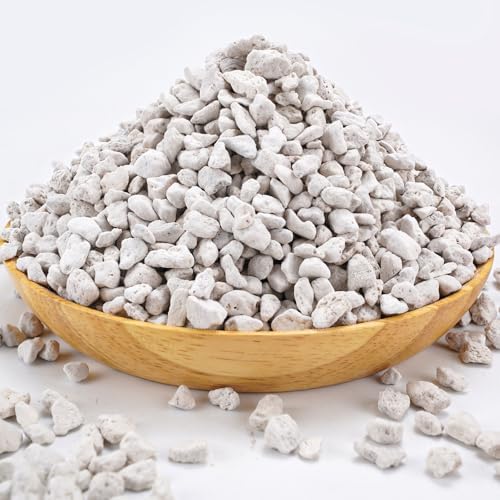 Piedra pómez Turface para bonsái y cactus 2.2lb