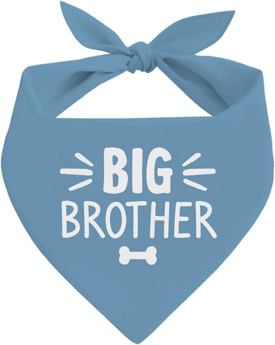 Bandana triangular para perro Big Brother azul