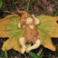 Estatua hadas para jardín 3.7x5.5in