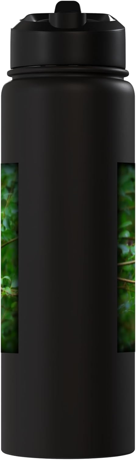 Botella de agua acero inoxidable cardinal rojo sin bpa
