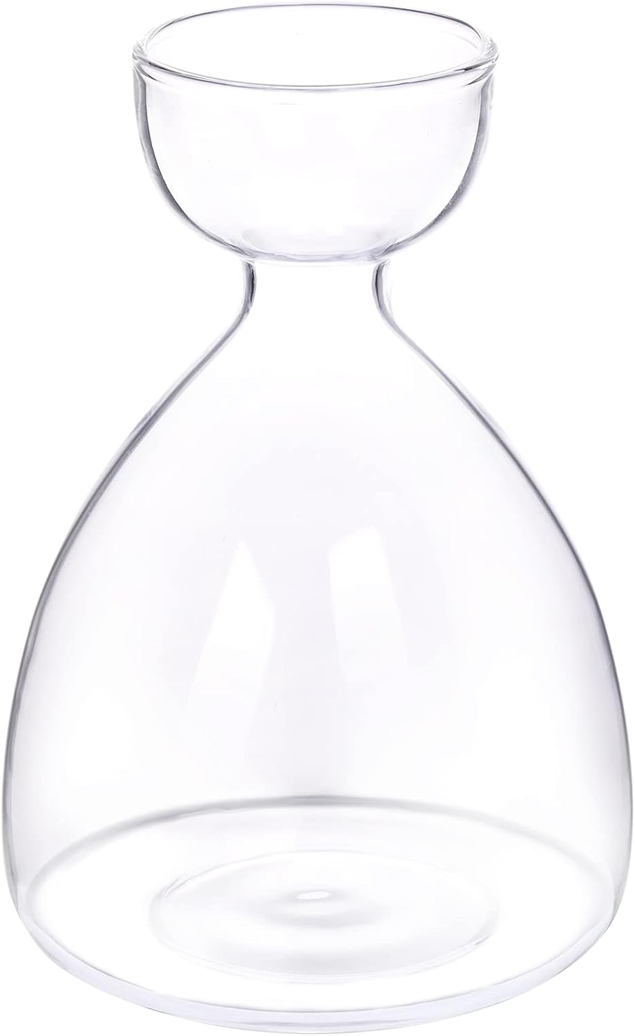 Jarrón transparente para cultivo de semillas de aguacate