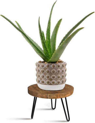 Soporte plantas madera moderno estilo mediados siglo