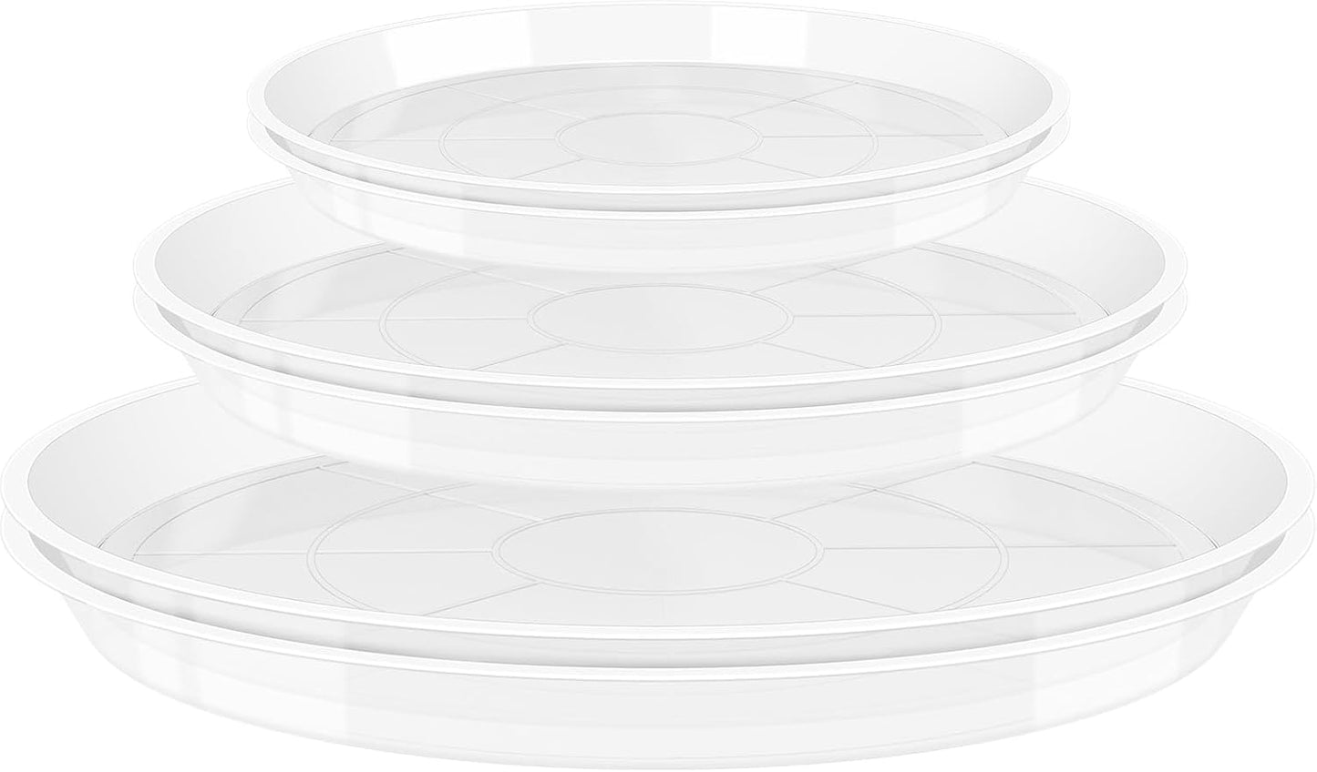 6 Pzas Bandejas Plástico Transparente para Plantas 5-21pulg
