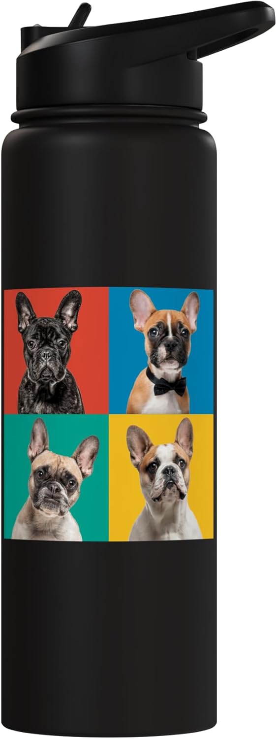 Botella de agua acero inoxidable sin BPA para perros Frenchie