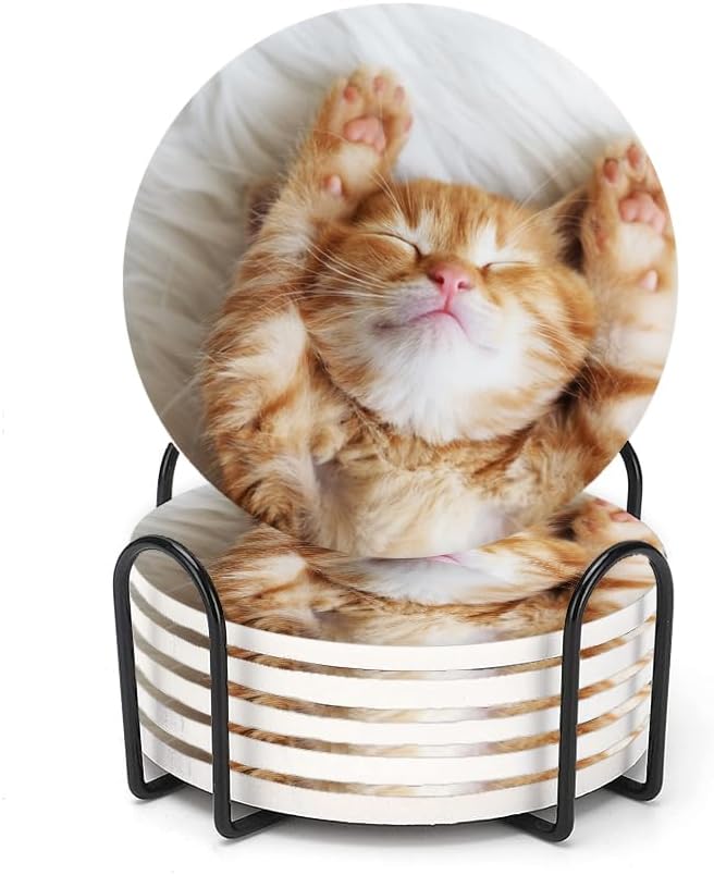 Juego de 6 posavasos redondos con gato de jengibre, base de corcho y soporte de metal