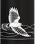 Botella térmica acero inox para observar aves