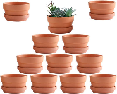 Macetas terracota 3.5pulg suculentas con bandeja drenaje