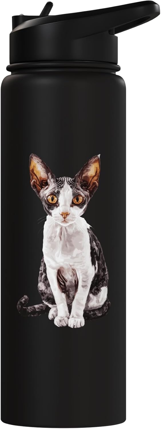 Botella agua acero inox aislada con imagen gato esfinge