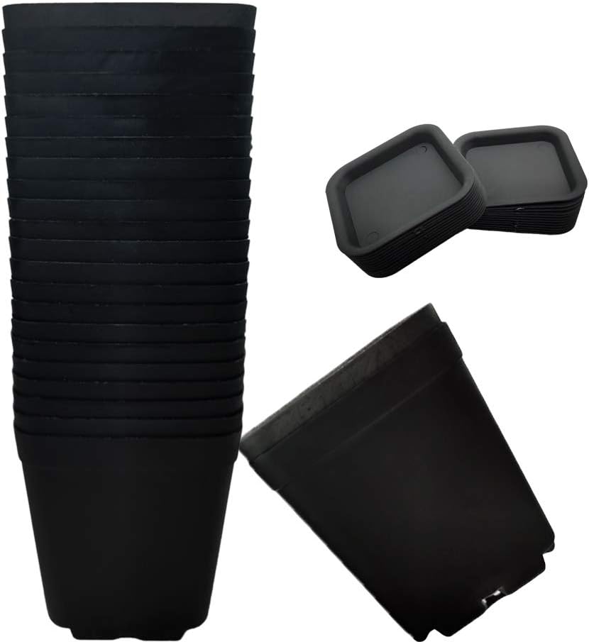 24 Macetas Plástico Cuadradas 7.6cm Negras para Interior y Exterior