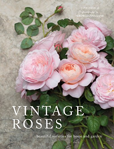 Rosas vintage para hogar y jardín