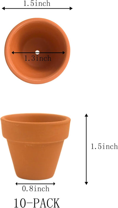 Macetas terracota 1.5pulg set 10 con orificio drenaje cactus