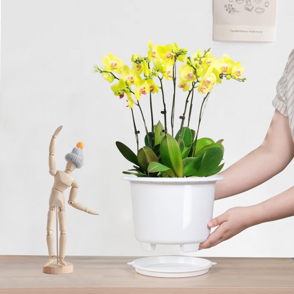 Macetas plástico 8pulg orquídeas con orificios decorativas