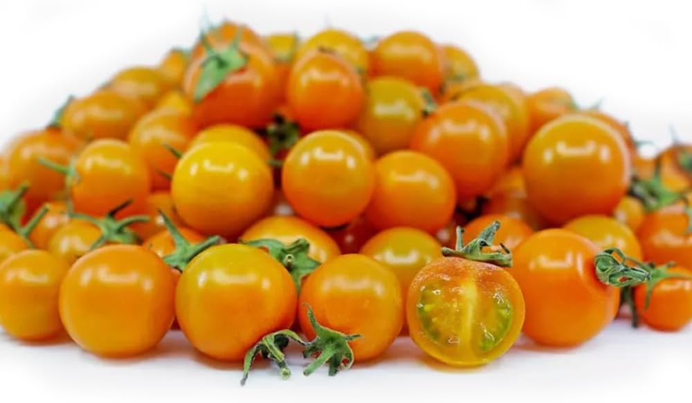 100 Semillas Tomate Micro Enano Naranja Sin OMG