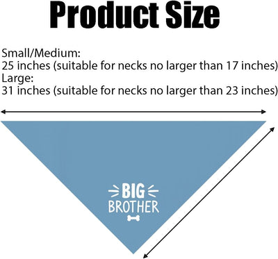 Bandana triangular para perro Big Brother azul