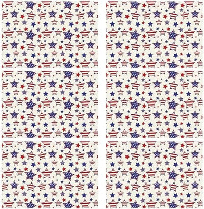 Juego de 6 manteles individuales patrióticos 12 x 18 pulgadas
