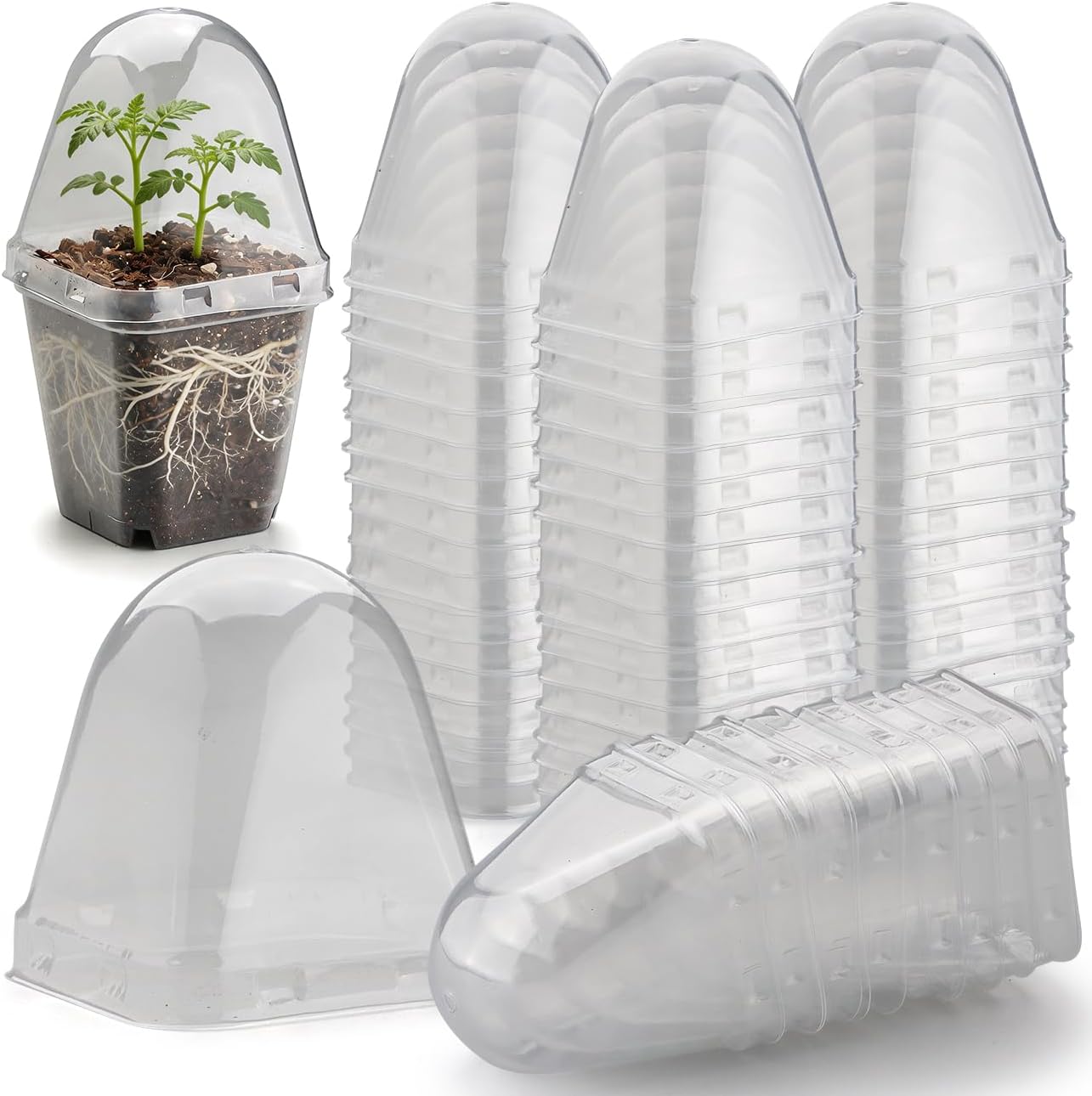 Pack 120 Cúpulas Transparentes para Plántulas Maceta 2.7pulg