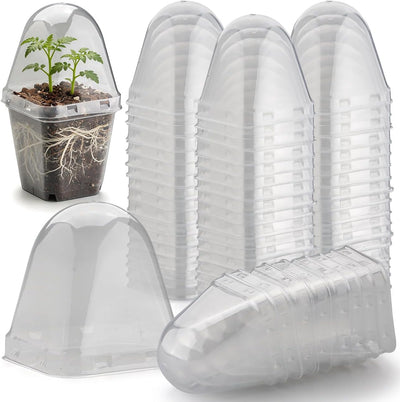 Pack 120 Cúpulas Transparentes para Plántulas Maceta 2.7pulg