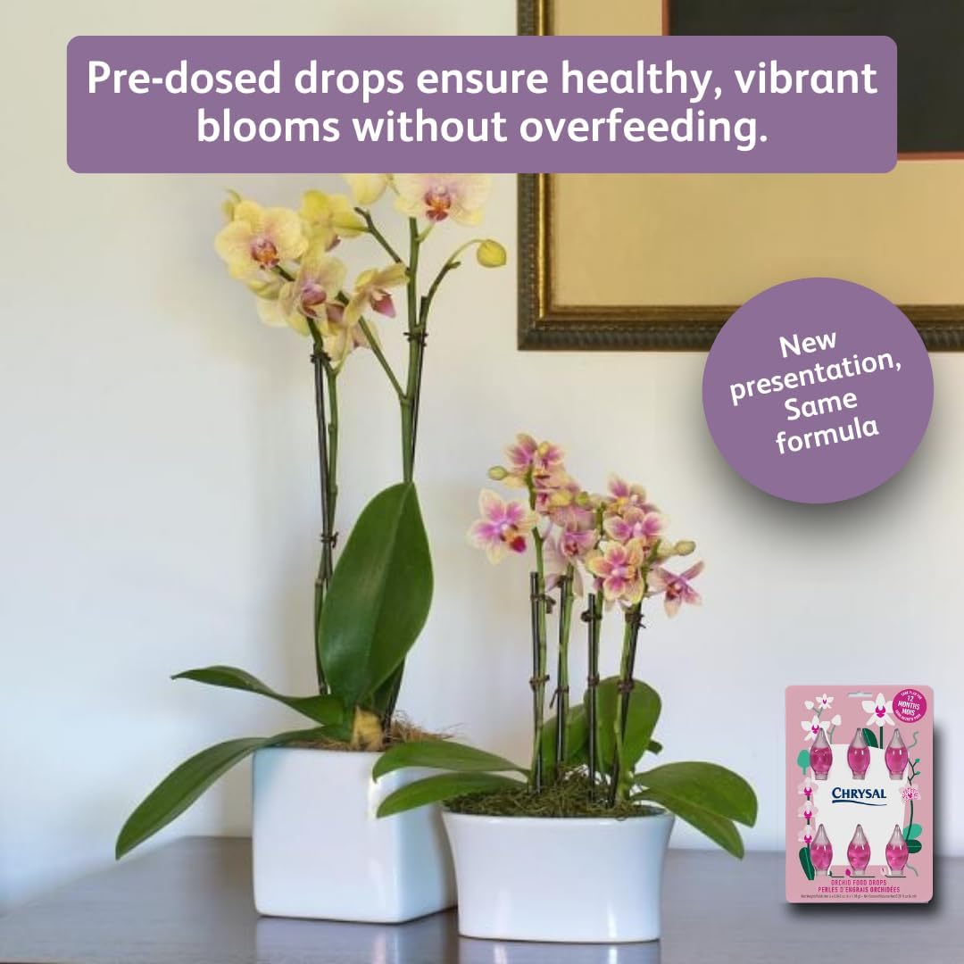 Alimento concentrado para orquídeas un año