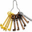 Set 10 Llaves Esqueleto para Armarios Vintage con Llavero