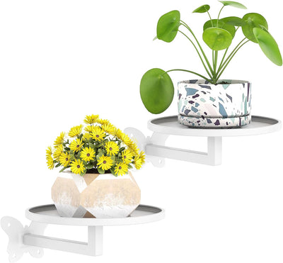 Soporte pared para plantas suculentas y flores metal