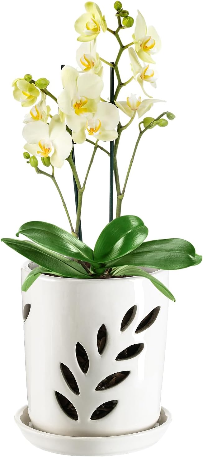 Maceta orquídea cerámica 4pulg con drenaje para interiores