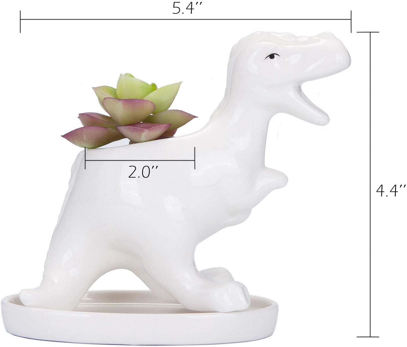 Maceta cerámica suculentas T-Rex blanco con bandeja decorativa