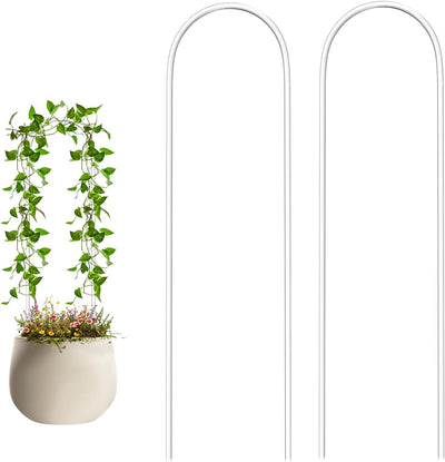 Soporte acrílico transparente para plantas enrejado forma U