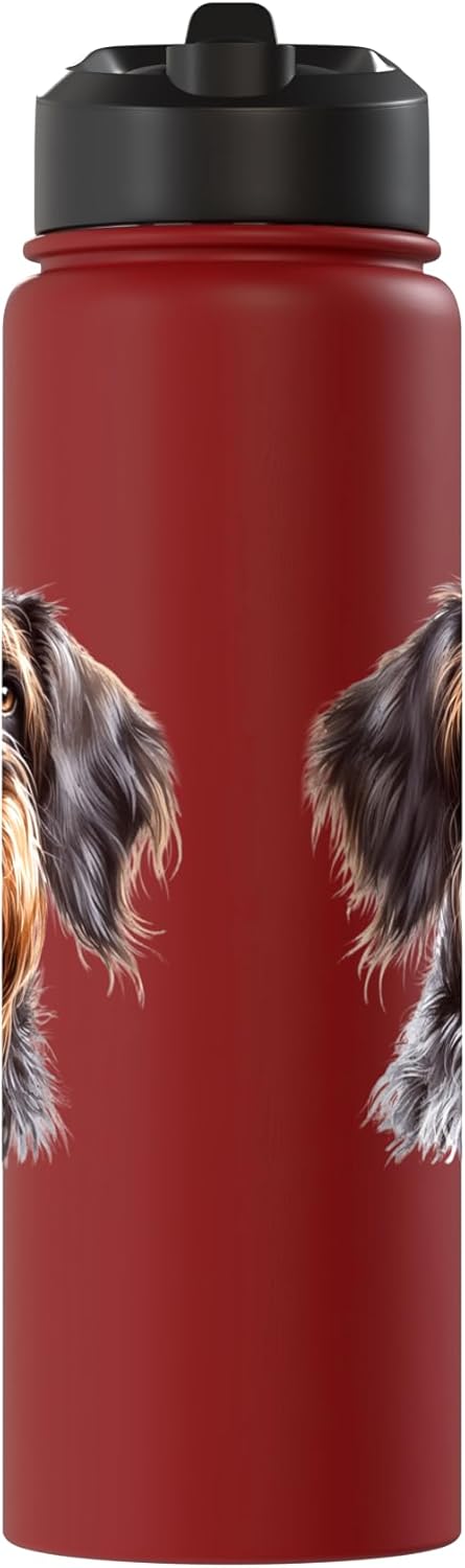 Botella de agua acero inoxidable para perro Wirehaired Pointed Griffon