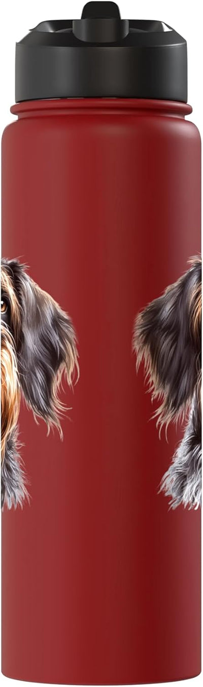 Botella de agua acero inoxidable para perro Wirehaired Pointed Griffon