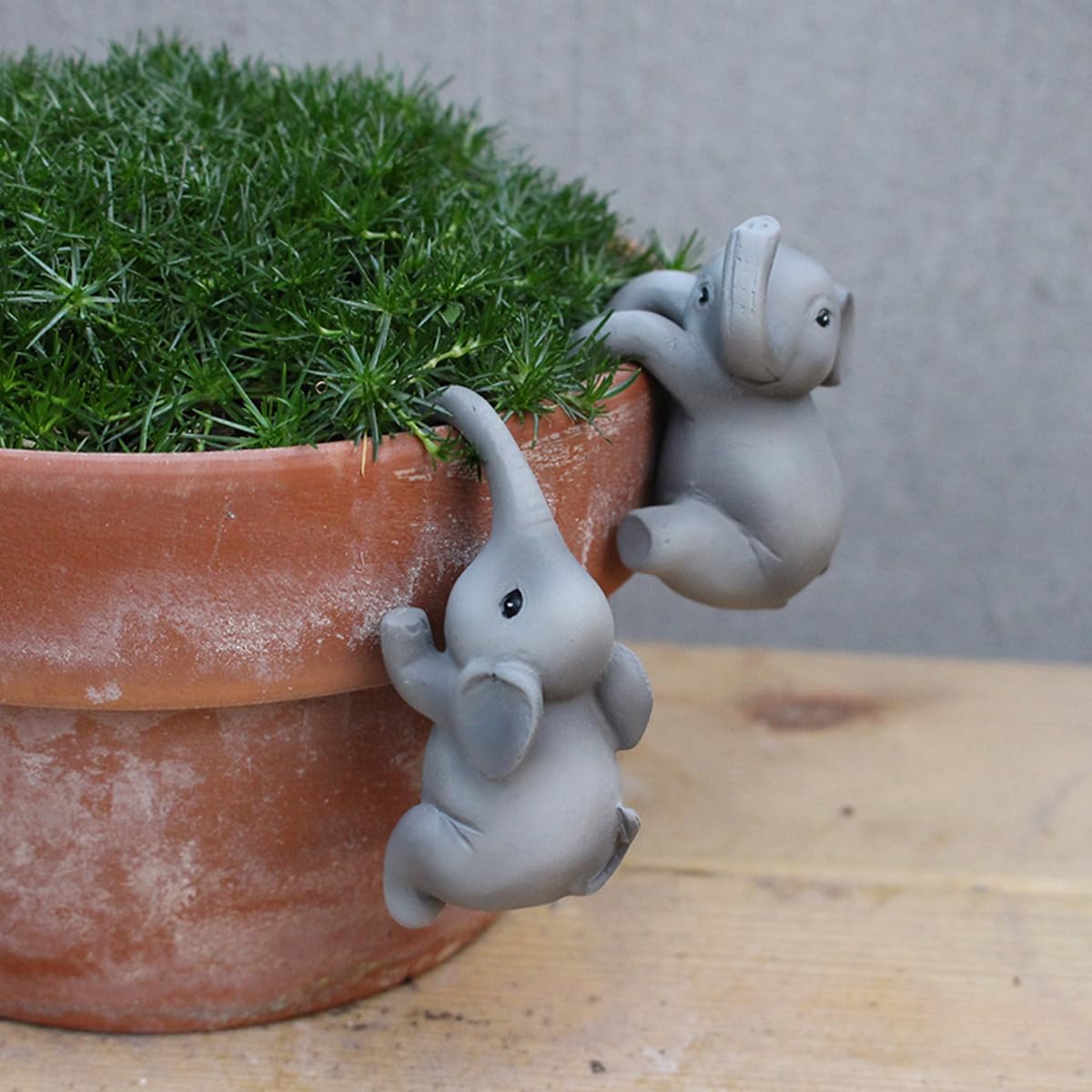 2 Pzas Abrazaderas Elefante para Macetas Jardín